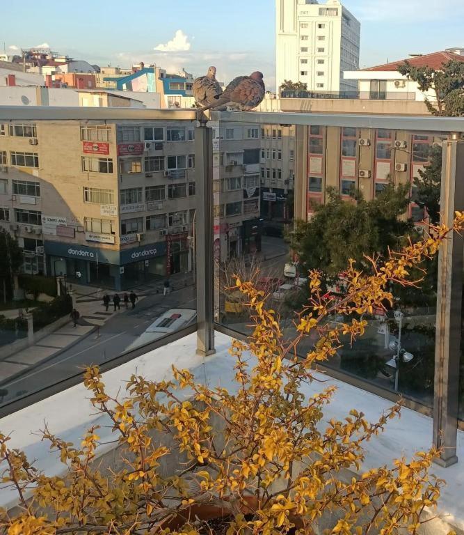 Old Town Grand Apart Hotel อันตัลยา ภายนอก รูปภาพ